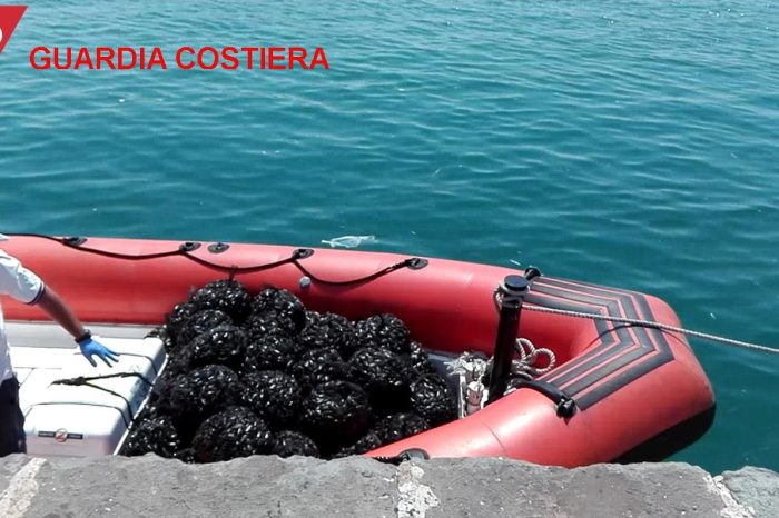 Taranto - Guardia costiera: sequestrati 6 quintali di cozze nocive per la salute