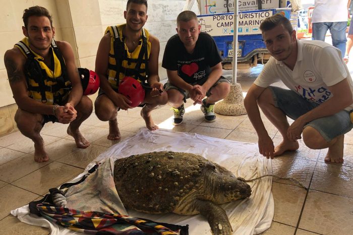Taranto - Lo straordinario salvataggio di una tartaruga "Caretta Caretta" a Campomarino di Maruggio. | FOTO