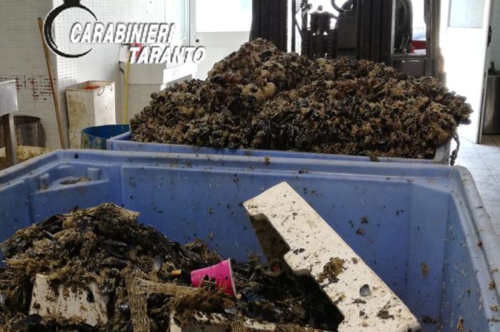 Taranto - Sequestrata una tonnellata di cozze prive di documentazione commerciale e sanitaria