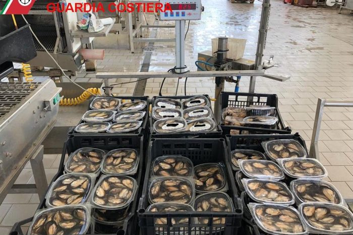 Taranto - Pronti al commercio e con etichette false: sequestrato un quintale di molluschi nocivi