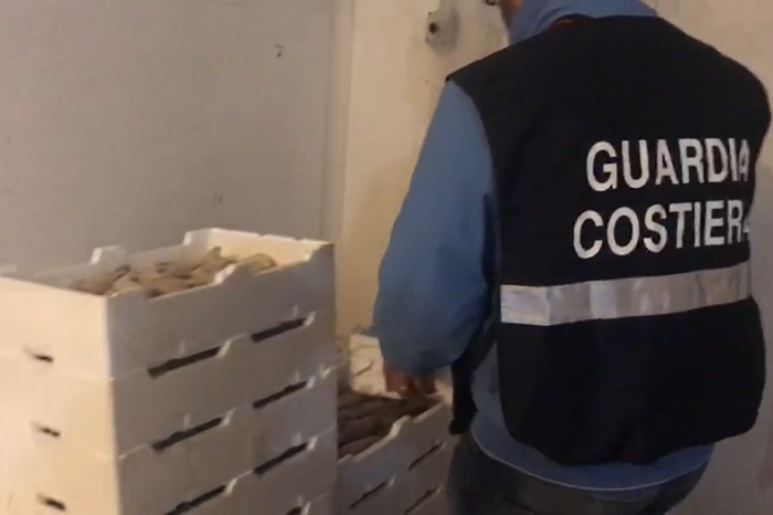 Taranto/ Bari - Guardia costiera sequestra 600 chili di pesce