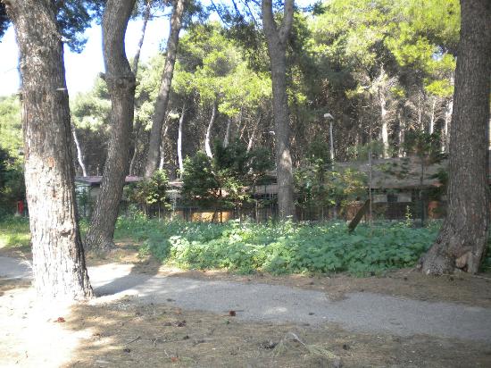 Taranto - Il sindaco dispone la riapertura di Parco Cimino