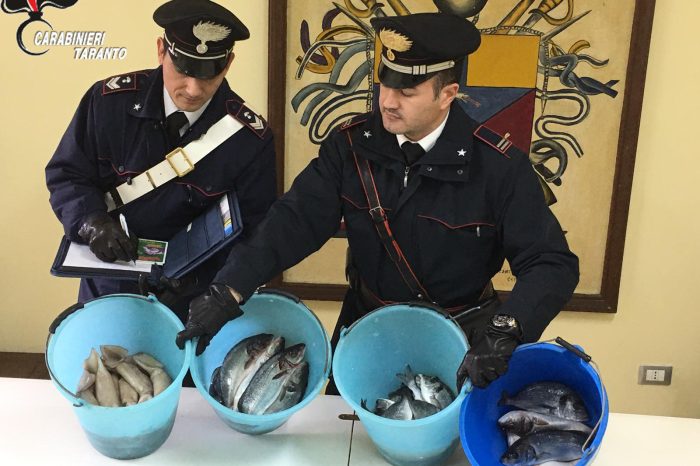 Taranto - Vendevano al mercato prodotti ittici in cattivo stato di conservazione: denunciati padre e figlio