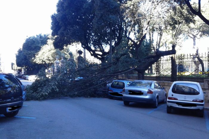 Taranto - Numerosi danni causati dal forte vento, il Comune ordina chiusura delle scuole