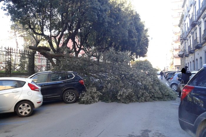 Taranto - Meteo, rischio vento codice arancione: alberi si abbattono su auto in sosta