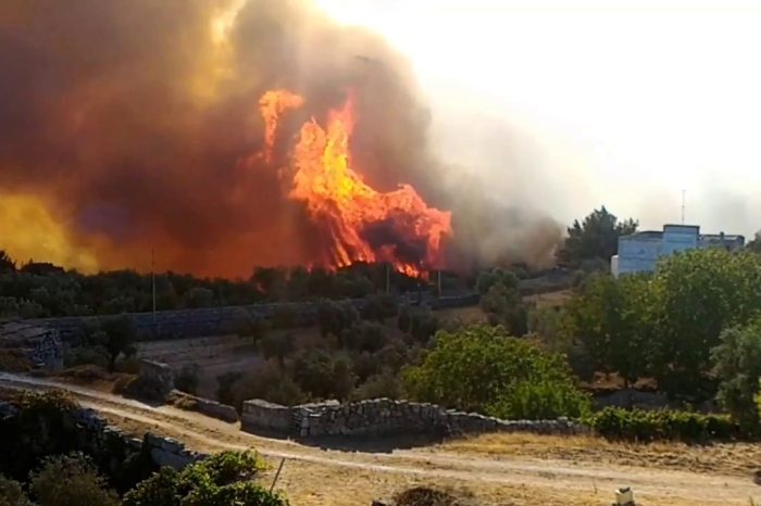 Taranto - Incendio 2017: fondi regionali per la pineta di Palagianello