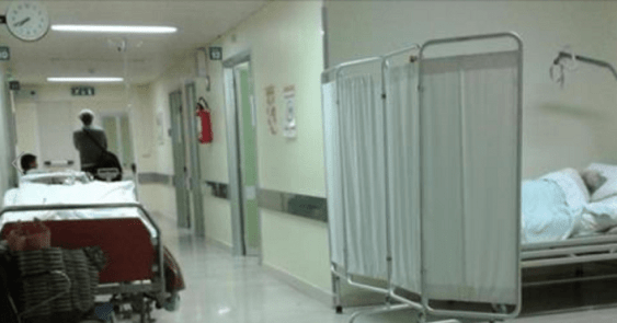 Taranto - Donna chiede pet e finisce ostaggio della spola Cup-medico, Franzoso (FI): “Riformare sistema prenotazioni”