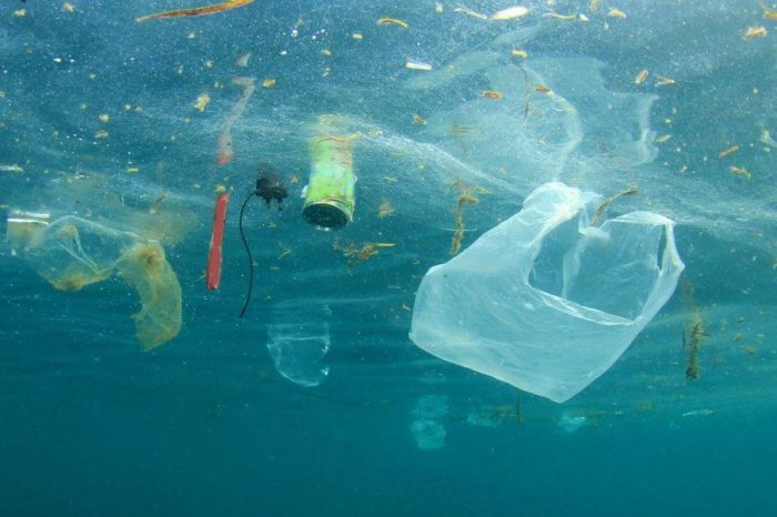 La Puglia è la prima Regione in Italia a vietare la plastica nei lidi