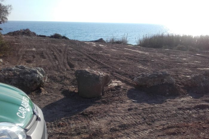 Taranto - Macchia mediterranea abbattuta a Pulsano: denunciato il responsabile