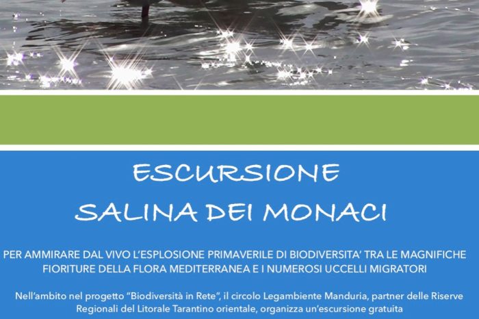 Taranto - Escursione con guida gratuita alla “Salina dei Monaci”: tutti i dettagli