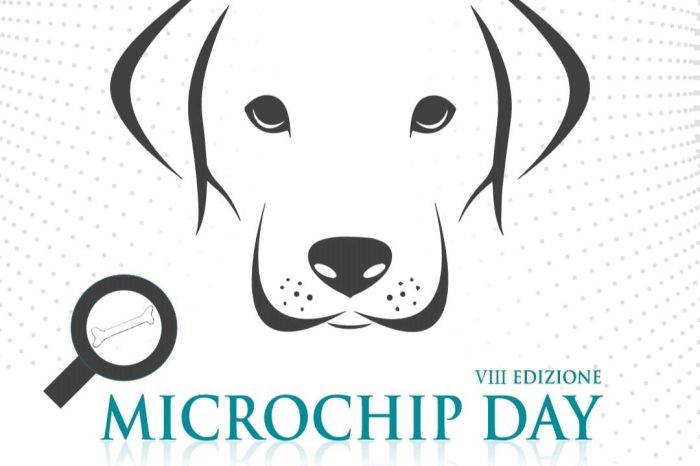 Taranto - Microchip day,  la campagna contro il randagismo e l'abbandono dei cani