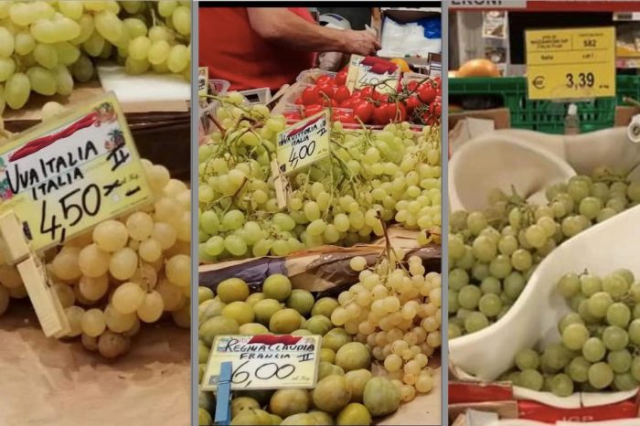 Agricoltura, CIA Puglia: "Uva da tavola, 60 cent ai produttori ma fino a 6 euro in supermercato"