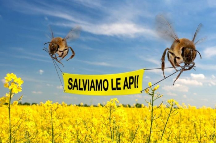 Taranto - Maruggio e l'ordinanza “salva api”:ecco di cosa si tratta