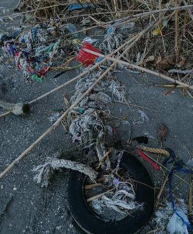 Taranto - "Lido Chiapparo", i cittadini intervengono a ripulire la spiaggia