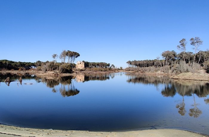 Taranto - Lago Salinella e Pineta, verso l'istituzione di un'area naturale protetta