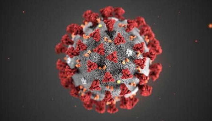 Coronavirus: 1.738 nuovi casi e 4 decessi