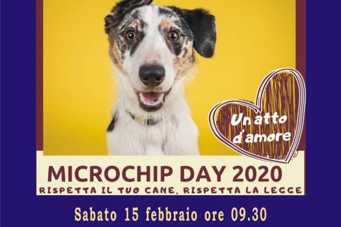 Taranto - Un atto d’amore per gli amici a 4 zampe: a Leporano microchip per i cani e sterilizzazioni gratuite per le colonie feline