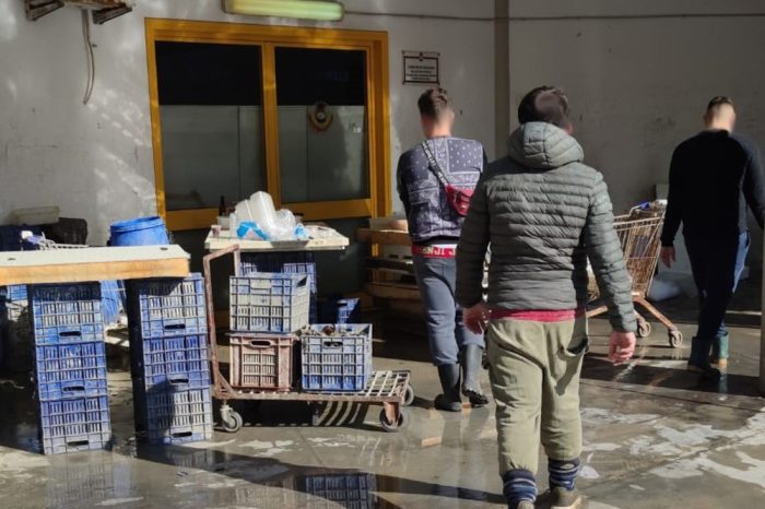 Taranto - Mercato ittico, Manna: "Il covid non ferma le attività illecite davanti all’ufficio dei vigili urbani"