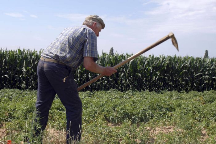 Anp Cia Puglia: “Bonus per tutti, non per gli agricoltori”