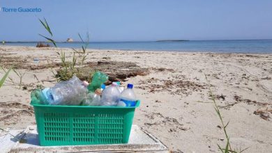 a mano a mano torre guaceto pulizia