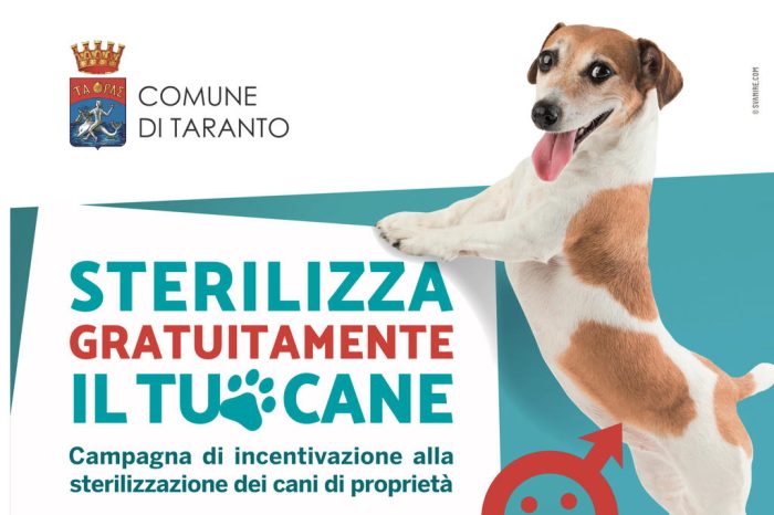 Taranto: Sterilizzazione gratuita dei cani di proprietà