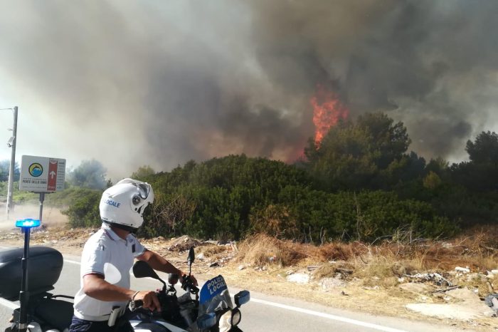 Marina di Taranto: L’assessore Cataldino interviene sull’incendio di macchia mediterranea e zone di pineta in prossimità di Lido Checca
