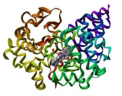 La grande scienza: il ruolo del gene SMYD3 nelle neoplasie