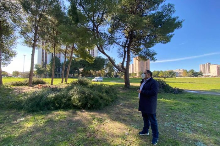 Taranto - Cura del verde al parco delle Mura Greche, sopralluogo di Melucci