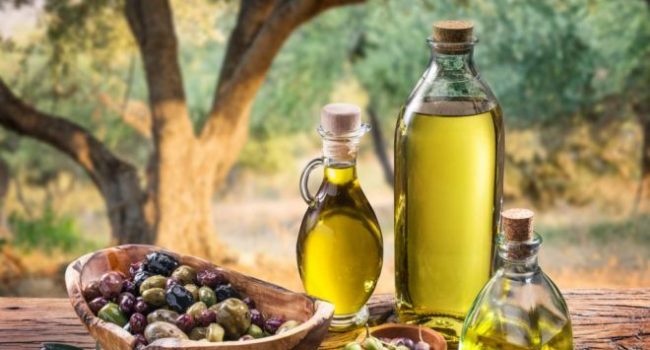 Modugno: al via la raccolta del primo olio extravergine d'oliva 2022/2023