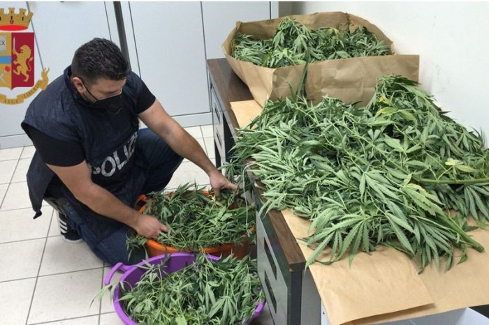 Taranto: servizi antidroga, la Polizia sequestra eroina e due grosse piante di marijuana