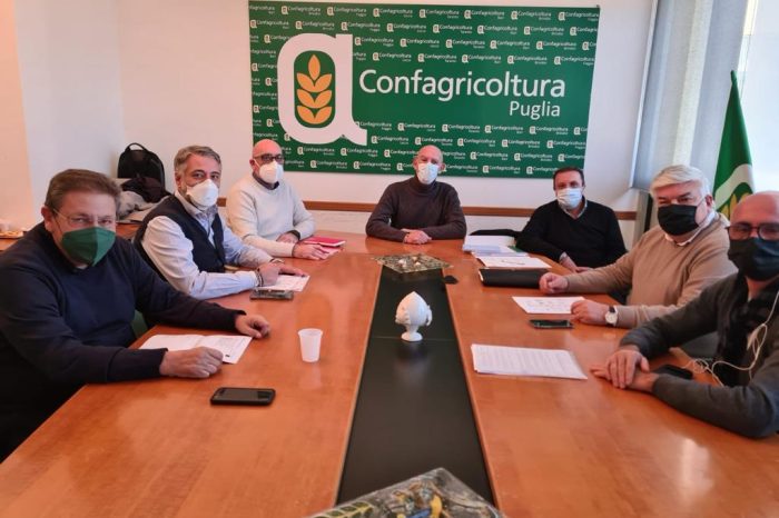 Nella sede di Confagricoltura Puglia avviate le trattative per il rinnovo del Contratto regionale per impiegati e quadri agricoli 