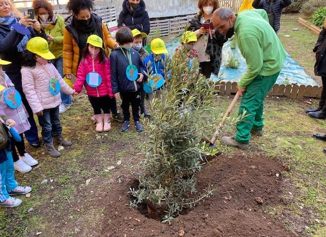 Coldiretti Puglia: " in città solo 114mila alberi, nei campi scompare 1 pianta su 3"