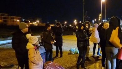 Serpente Biacco a Foggia in Piazza