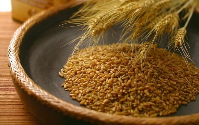 Coldiretti Puglia: "da mercoledì in arrivo il "nuovo grano" in cucina