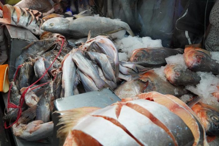 Coldiretti Puglia: " più pesce sulle tavole pugliesi nel venerdì santo, con un aumento (+25%)
