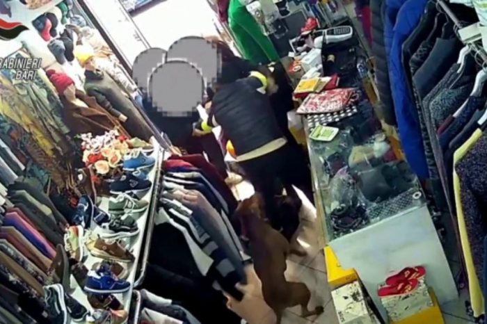 Bari: fingono di essere in difficoltà entrano in un negozio con un pitbull e rubano 1000euro