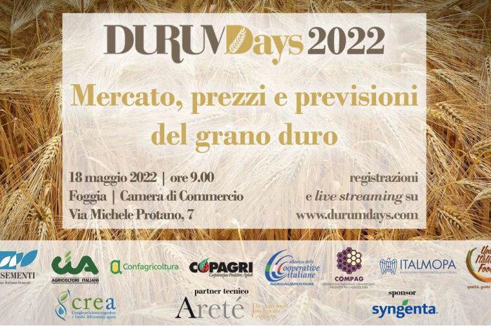 "Durum Days", i giorni del grano duro. In Puglia produzione in calo del 20%