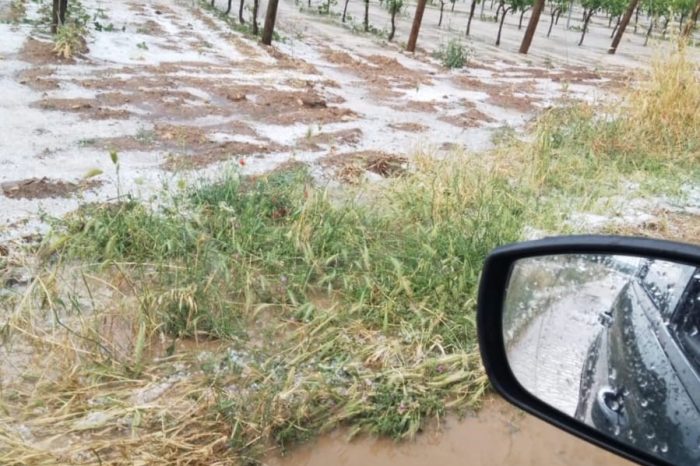 Coldiretti Puglia: "dalla grandine al caldo, questi eventi provocano danni per 3mld"