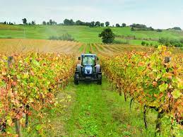 Puglia: un bando per sostenere l'insediamento di almeno 1.000 nuovi agricoltori