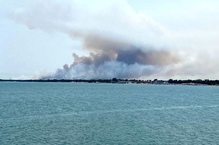 Manfredonia: spaventoso incendio nella palude Frattarolo, danni ingenti
