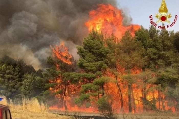 Foggia: incendi boschivi, tre le aree interessate tra Gargano e Monti Dauni