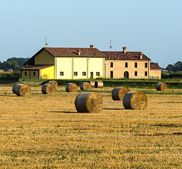 Puglia: 1/3 delle aziende agricole sono a rischio chiusura