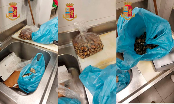 Taranto-Polizia di Stato: sequestrati 10 kg di mitili in un ristorante