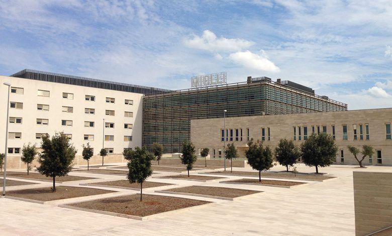 Il Miulli di Acquaviva delle Fonti