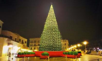 Bari - Via all'accensione dell'albero di Natale. Amgas dà il via al Natale dei baresi