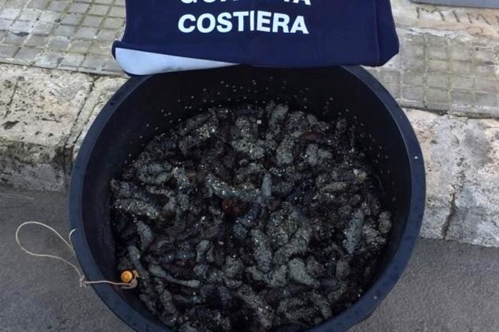 Taranto, oltre 63 kg di cetrioli di mare sequestrati