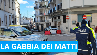 Martina Franca la gabbia dei matti