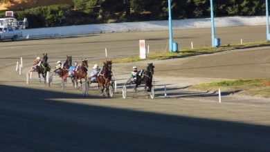 Ippica Taranto - Cordobes a caccia della vittoria