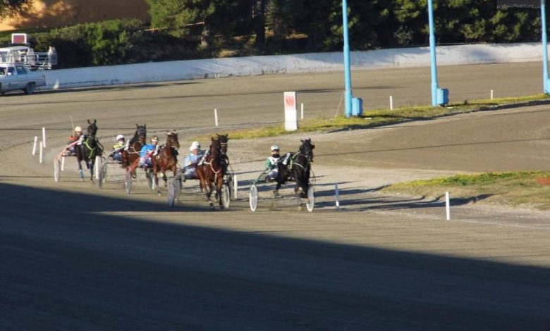 Ippica Taranto - Cordobes a caccia della vittoria
