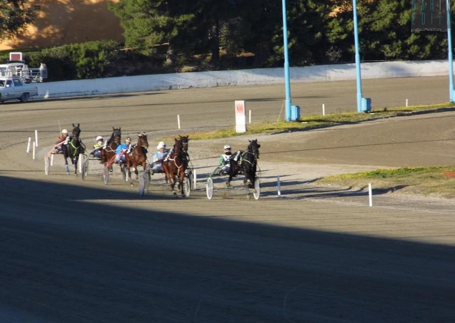 Ippica Taranto - Cordobes a caccia della vittoria